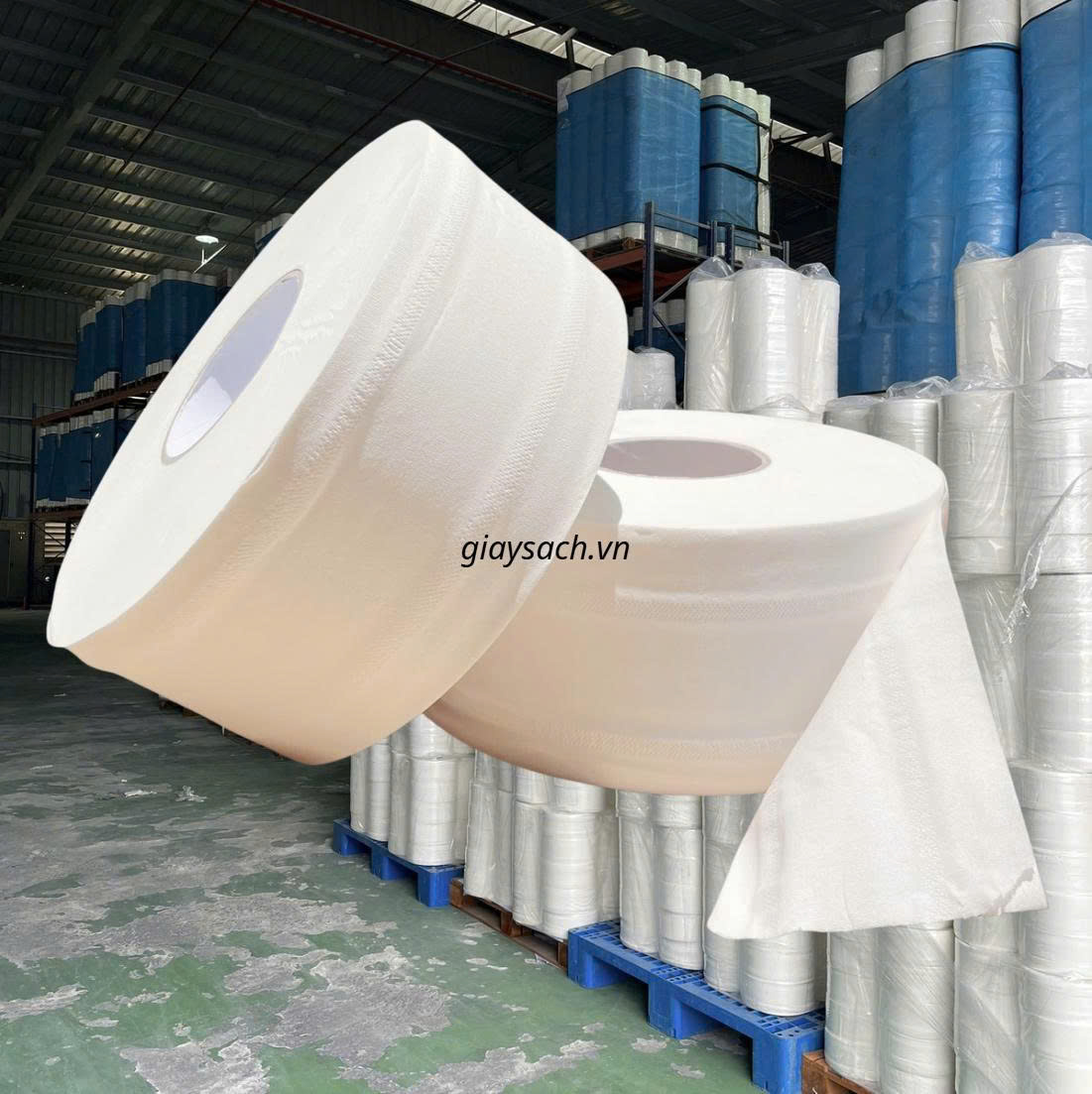 Giấy vệ sinh cuộn lớn